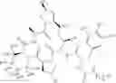 Fig. 29 - Substituted urea depsipeptide analogs as activators of the CLPP endopeptidase