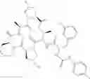 Fig. 313 - Substituted urea depsipeptide analogs as activators of the CLPP endopeptidase