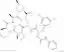 Fig. 337 - Substituted urea depsipeptide analogs as activators of the CLPP endopeptidase
