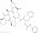 Fig. 340 - Substituted urea depsipeptide analogs as activators of the CLPP endopeptidase