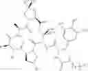 Fig. 385 - Substituted urea depsipeptide analogs as activators of the CLPP endopeptidase