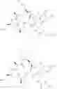 Fig. 45 - Substituted urea depsipeptide analogs as activators of the CLPP endopeptidase