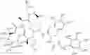 Fig. 52 - Substituted urea depsipeptide analogs as activators of the CLPP endopeptidase