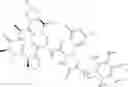 Fig. 63 - Substituted urea depsipeptide analogs as activators of the CLPP endopeptidase