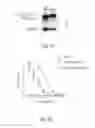 Fig. 16 - Virus like particle comprising modified envelope protein E3