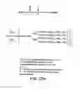 Fig. 136 - FACTOR VIII: REMODELING AND GLYCOCONJUGATION OF FACTOR VIII