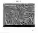 Fig. 04 - Elastomer structure containing carbon nanotubes and method for producing the same