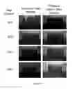 Fig. 02 - TORREFIED BIOMASS BASED SOLID FUEL COMPOSITION