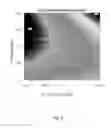 Fig. 09 - Cell culture medium and process for controlling α-amidation and/or C-terminal amino acid cleavage of polypeptides