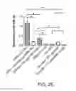 Fig. 08 - COMPOSITION AND METHODS FOR CULTURING CELLS