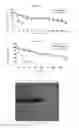 Fig. 08 - Endo-xylanase and Coding Gene and Use Thereof