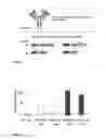 Fig. 02 - Inducible mutagenesis of target genes