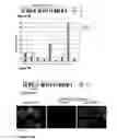 Fig. 07 - Inducible mutagenesis of target genes