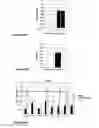 Fig. 09 - Inducible mutagenesis of target genes