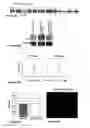 Fig. 15 - Inducible mutagenesis of target genes