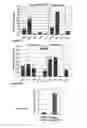 Fig. 16 - Inducible mutagenesis of target genes