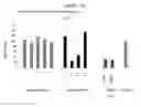 Fig. 20 - Methods and compositions for selecting siRNA of improved functionality