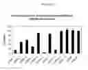 Fig. 44 - Methods and compositions for selecting siRNA of improved functionality