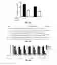 Fig. 07 - Antisense-based small RNA agents targeting the Gag open reading frame of HIV-1 RNA