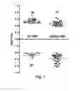 Fig. 08 - Antisense-based small RNA agents targeting the Gag open reading frame of HIV-1 RNA