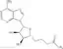Fig. 26 - EPIGENETIC REGULATORS OF FRATAXIN