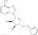 Fig. 31 - EPIGENETIC REGULATORS OF FRATAXIN