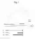 Fig. 02 - PLANT REGULATORY ELEMENTS AND METHODS OF USE THEREOF