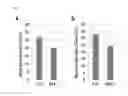 Fig. 07 - Manipulating BS1 for plant seed yield