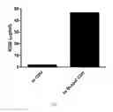 Fig. 08 - Neutralization-resistant CDV mutants and viral vectors