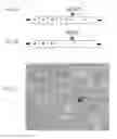 Fig. 09 - Neutralization-resistant CDV mutants and viral vectors