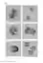 Fig. 02 - Method for generating oil/fat component from chlamydomonas algae