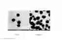 Fig. 02 - NANOSENSOR FOR DETECTING THE ACTIVITY OF GLYCOSAMINOGLYCAN-CLEAVING ENZYMES AND USES THEREOF