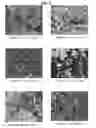 Fig. 08 - Method for producing gallium nitride crystal by reacting metal gallium and iron nitride