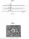 Fig. 09 - Method for producing gallium nitride crystal by reacting metal gallium and iron nitride