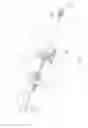 Fig. 09 - DEVICE FOR TILTING SLATS OF WINDOW BLIND