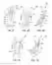 Fig. 04 - Sliding baffle inserts
