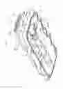 Fig. 06 - Cylinder Head Cover