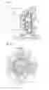 Fig. 05 - Rotary pump having a casing being formed with a communicating hole communicating a space that is between the side plate and the wall surface of the driving machine