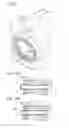 Fig. 06 - Rotary pump having a casing being formed with a communicating hole communicating a space that is between the side plate and the wall surface of the driving machine