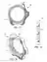 Fig. 12 - Ring gear of a mechanical exfoliation apparatus