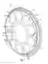 Fig. 02 - LOCOMOTIVE LED/OPTICS HEADLIGHT ASSEMBLY