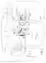 Fig. 03 - Burst firing device for firearm