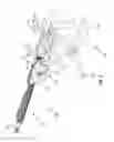 Fig. 02 - Mount for firearm assembly and adjustment