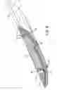 Fig. 10 - Firearm handgrip assembly with laser gunsight system