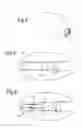 Fig. 03 - Projectile