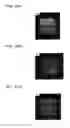 Fig. 11 - Sheet of colloidal crystals immobilized in resin, method of displaying structural color using same, method for detecting unevenness distribution or hardness distribution of subject using same, and structural color sheet