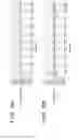 Fig. 12 - Image forming apparatus for controlling toner density in developing unit