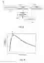 Fig. 09 - Enhancing the detectability of objects in medical images