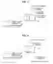 Fig. 08 - Original reading apparatus with original tray, and control method therefor