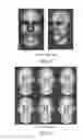 Fig. 04 - Hybrid visual communication